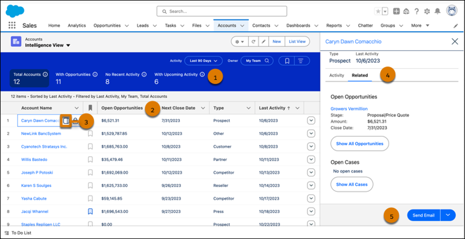 Illustration of Salesforce Account Intelligence View