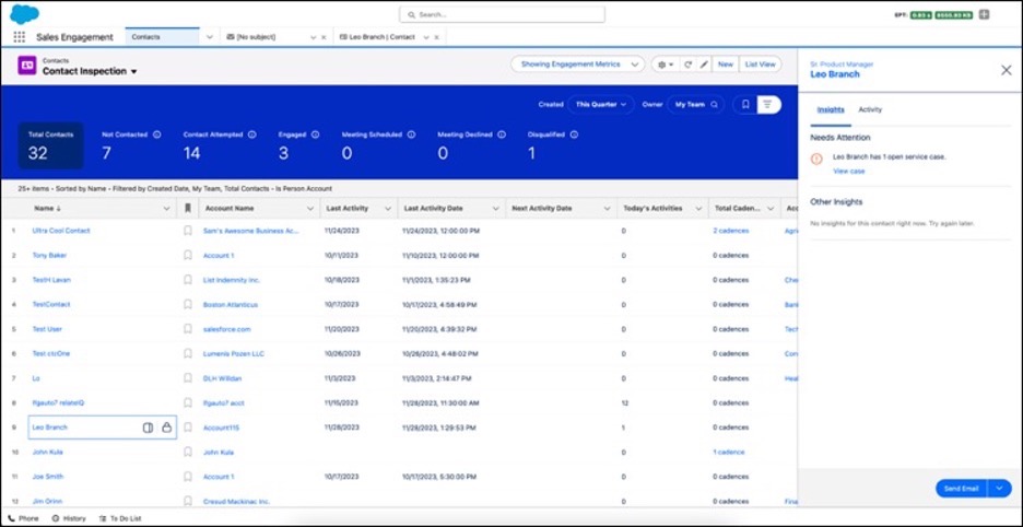 Salesforce Lead and Contact Intelligence View